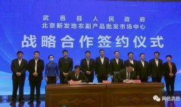 武邑近期爆料新闻视频,视频揭露惊人真相